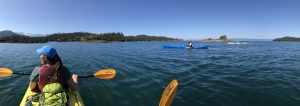 A morning kayak trip on Petersen Bay by Ryan Glanzer